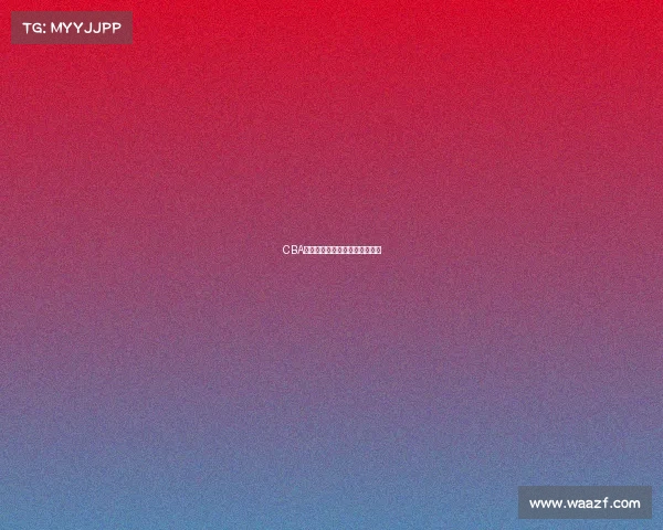 CBA赛季风云：哪些球队值得关注？